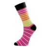 3-Pak Salming Boyer Sock 800009-050